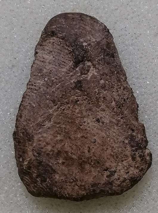 พระยอดธง กรุพญาดำ(มีบัตร)