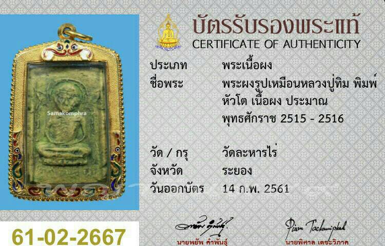 พระผงรูปเหมือน หลวงปู่ทิม เศียรโต