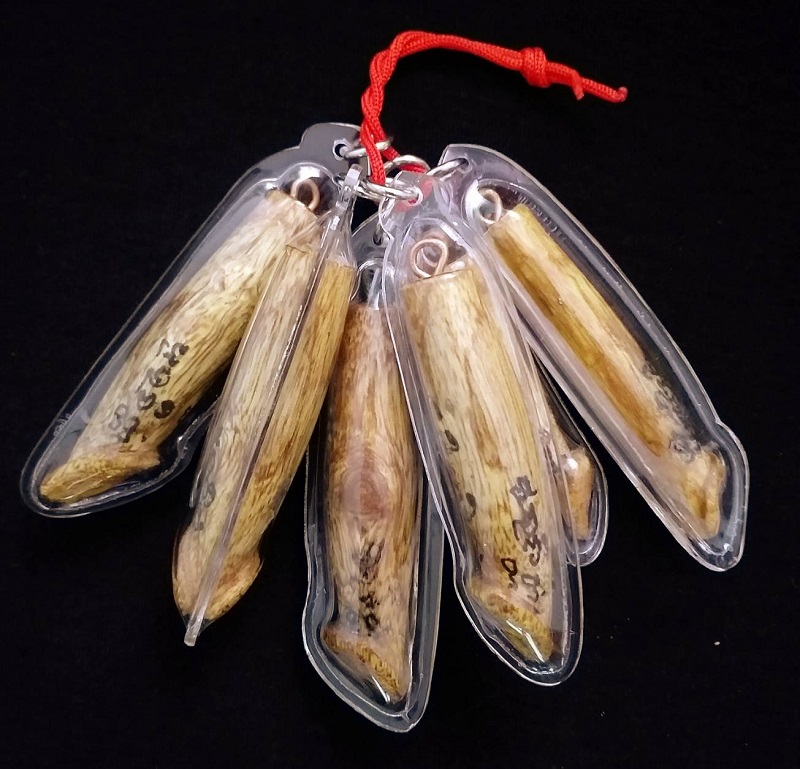 ปิดตำนานปลัดขิกไม้หีคัน แดนล้านนา