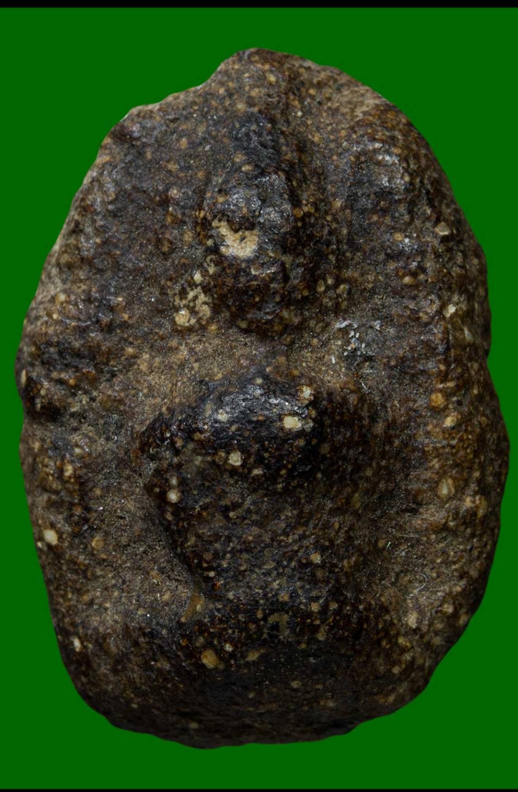 พระผงอัฐิ อ.หนู พิมพ์วัดพลับ เนื้อนิยม