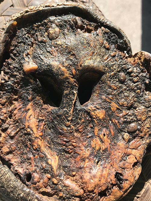 งวงช้างเครื่องรางทนสิทธิ์