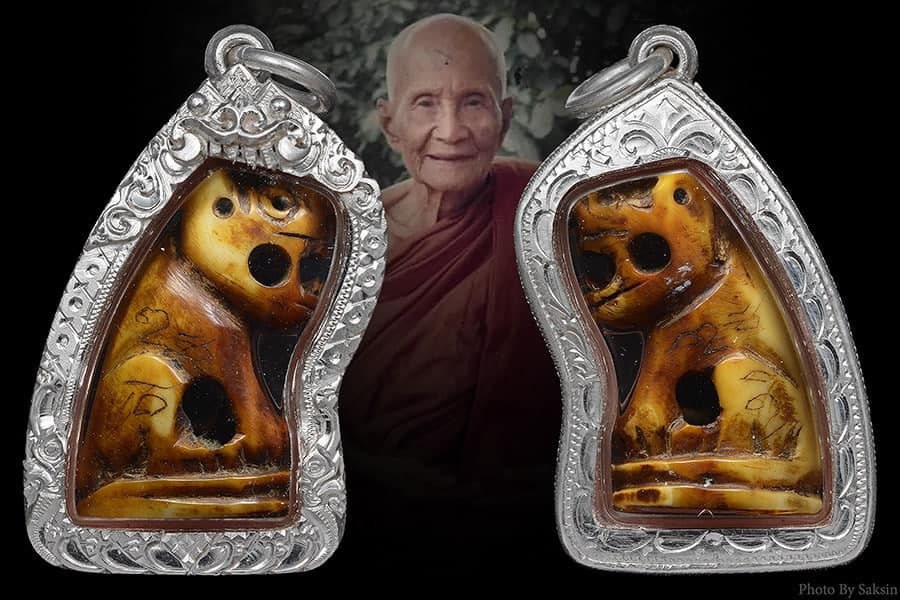 พยัคฆ์ล้านนาครูบาน้อย วัดบ้านปง