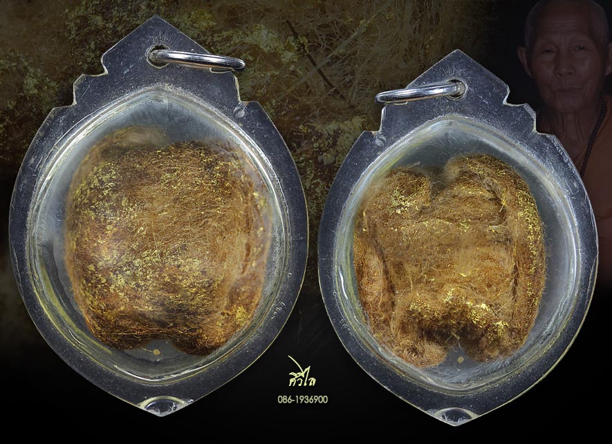 เต่าสำลีชุบสีผึ้งครูบาชัยวงค์ วัดพระพุทธบาทห้วยต้ม