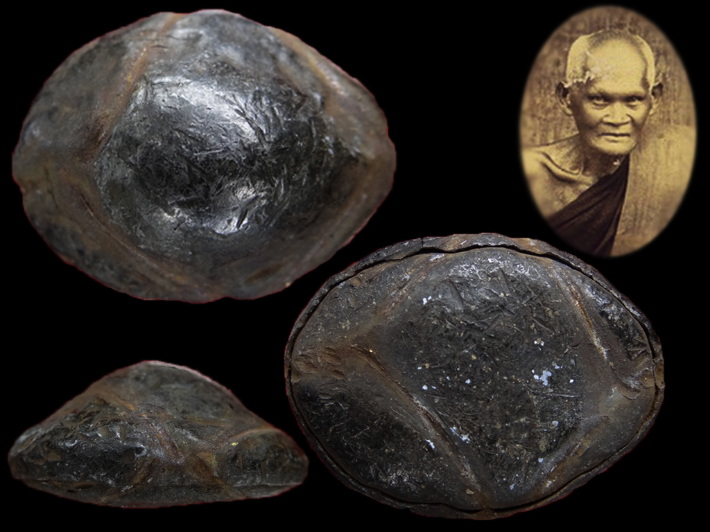 เบี้ยแก้เปลือยหลวงปู่บุญ