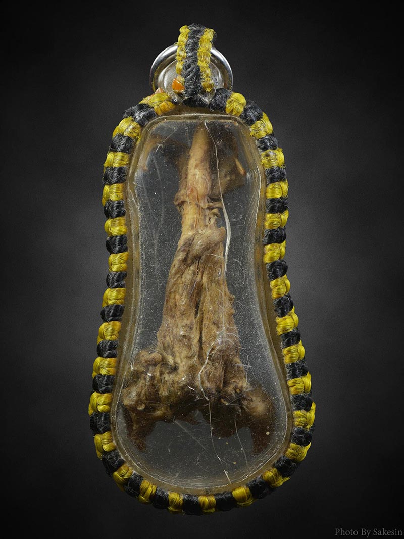 เดือยงูเหลือมเลี่ยมเก่า