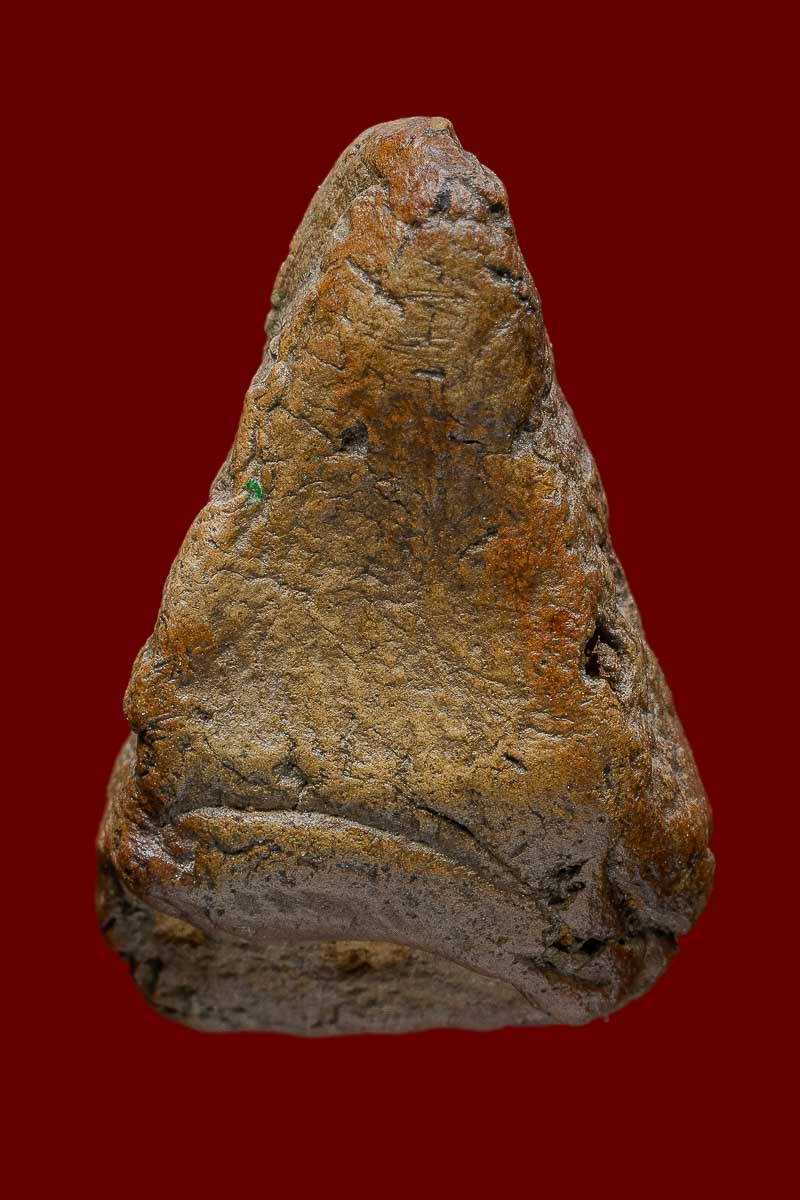 พระนางพญา พิมพ์อกนูนเล็ก จ.พิษณุโลก