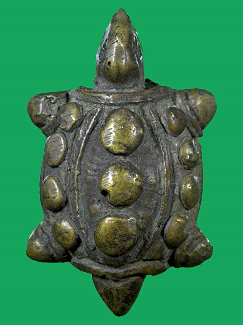 เต่าหลวงพ่อเงิน วัดบางคลาน มีจาร