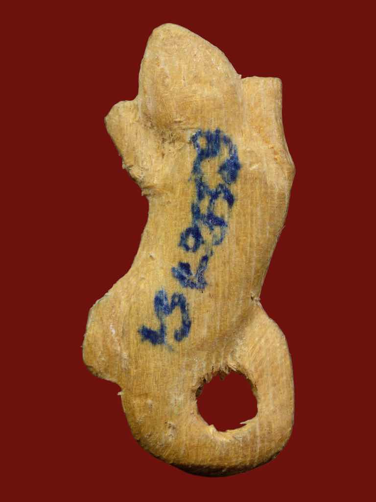 จิ้งจก￼หลวงพ่อหน่าย วัดบ้านแจ้ง￼(ออกวัดพฤกษะวัน￼)