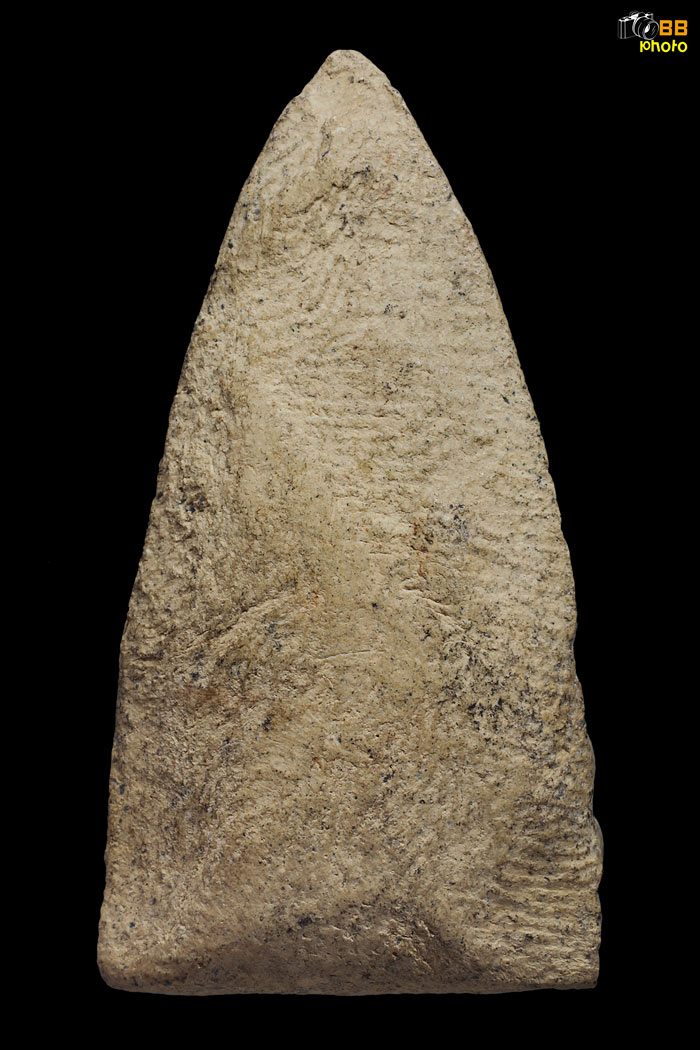 ครูบาเจ้า อัฐิหลังย่น รุ่นแรก  แชมป์ ชม.