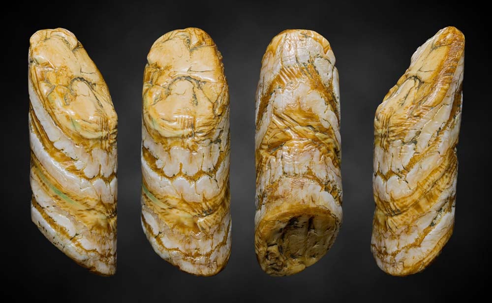 ของมงคลแปลก