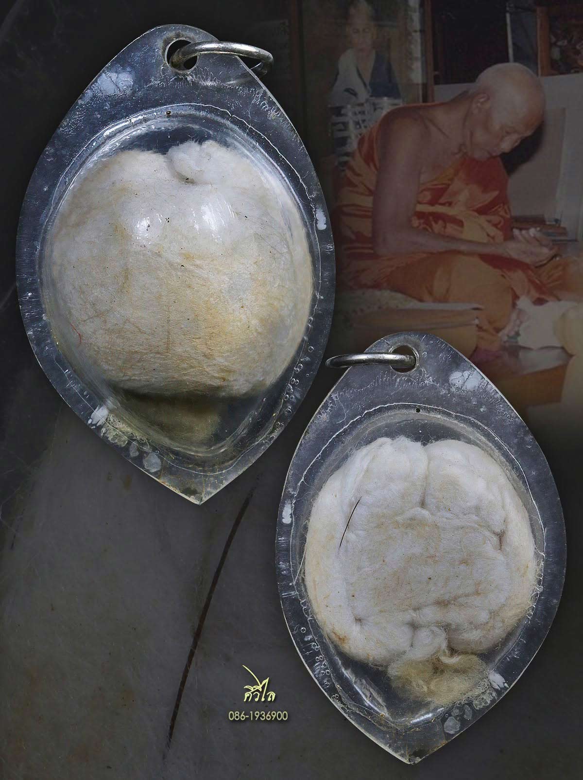 เต่าสำลีครูบาชัยวงค์ วัดพระบาทห้วยต้มเ/1