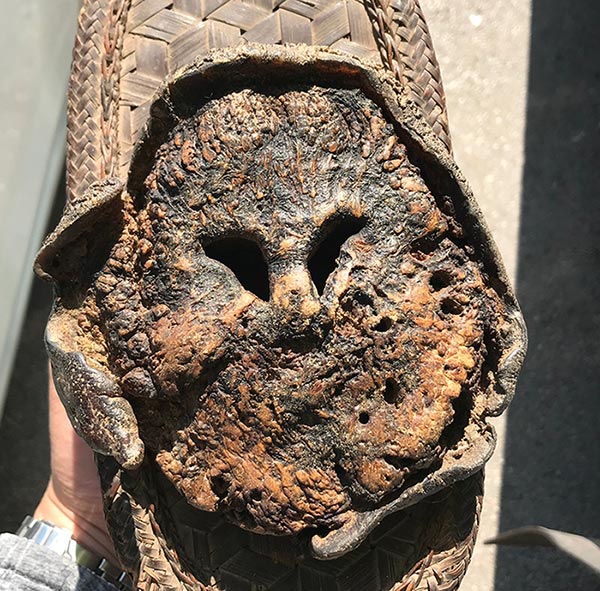 งวงช้างเครื่องรางทนสิทธิ์