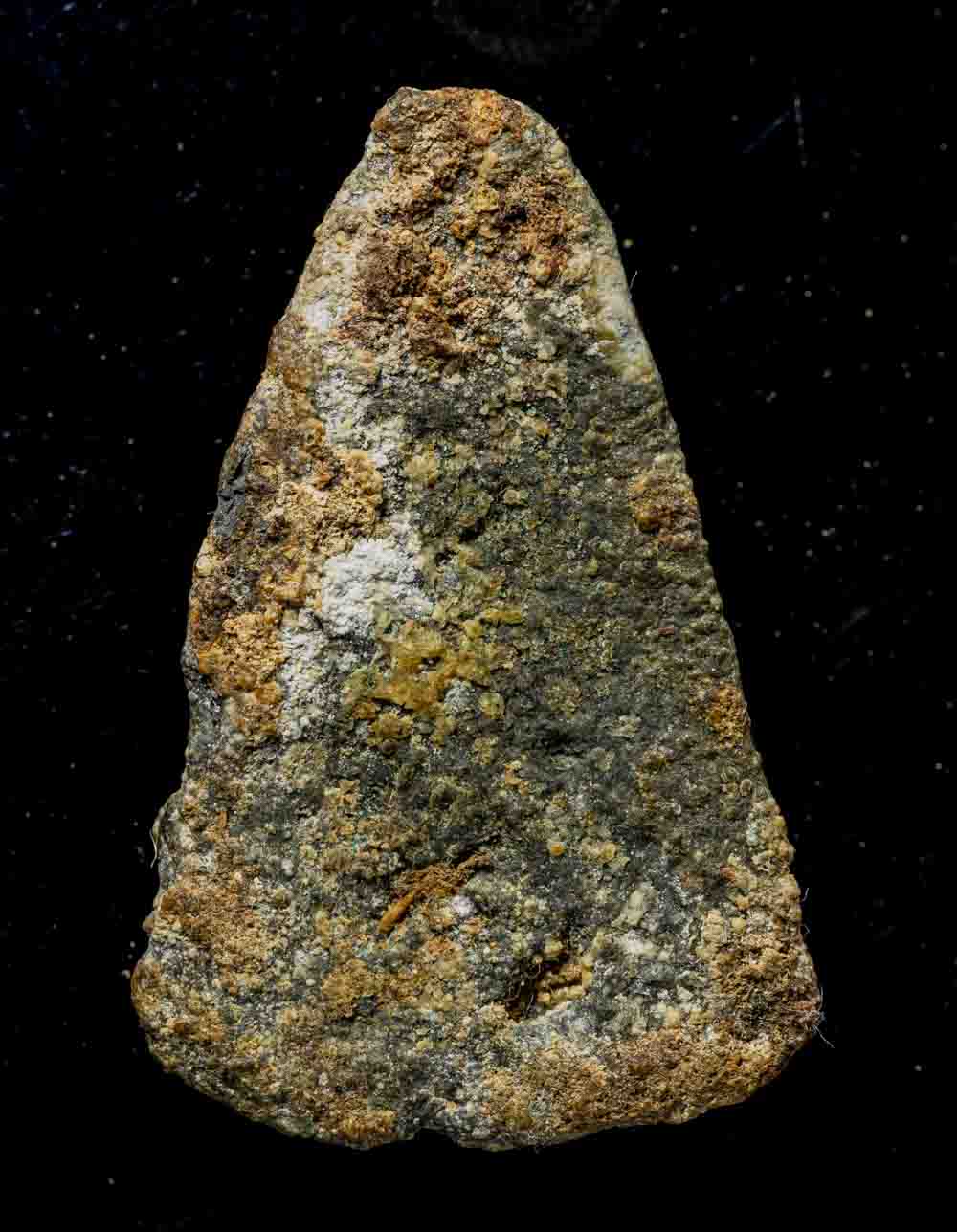 พระร่วงชินเขียว ไขสวยๆ