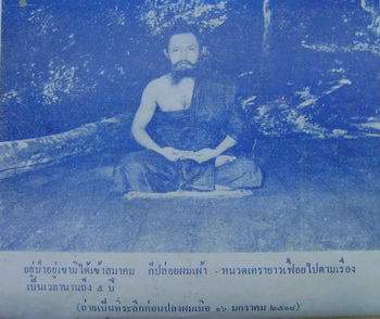 ตุ๊เจ้าเสือดาว