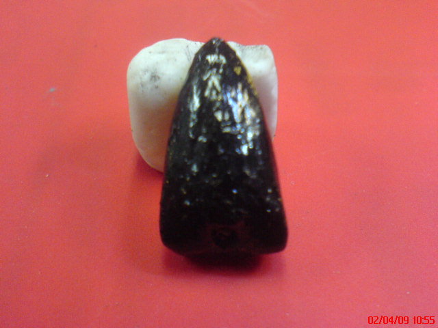 ย้อนยุค เกศาครูบาเจ้า