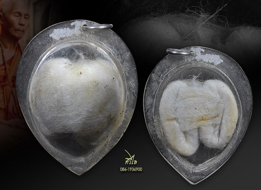 เต่าสำลีครูบาชัยวงค์ วัดพระพุทธบาทห้วยต้ม #เลี่ยมเดิมจากวัด #พระโพธิสัตว์พญาเต่าเรือน