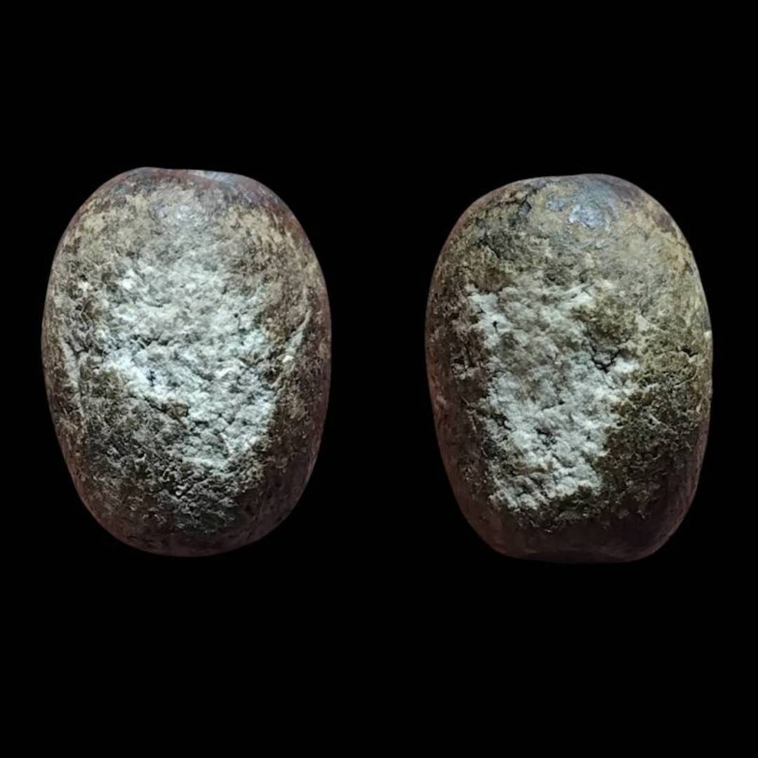 ลูกสะกดเนื้อผงพุทธคุณ ลพ.ปาน วัดบางนมโค