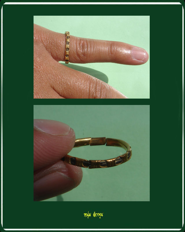 แหวนทองหางช้าง