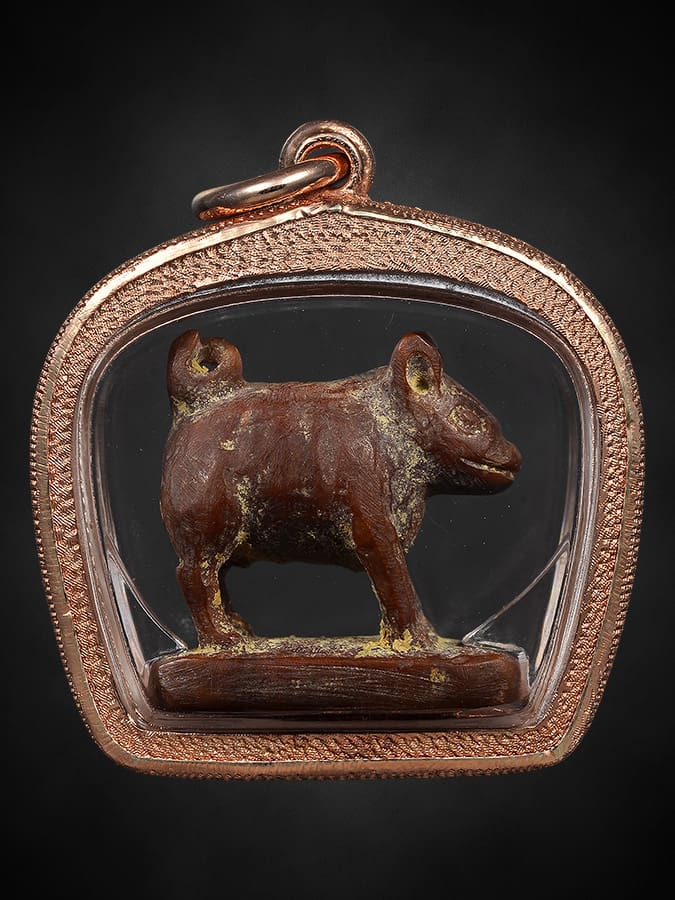 หมูโตนไทใหญ่ 