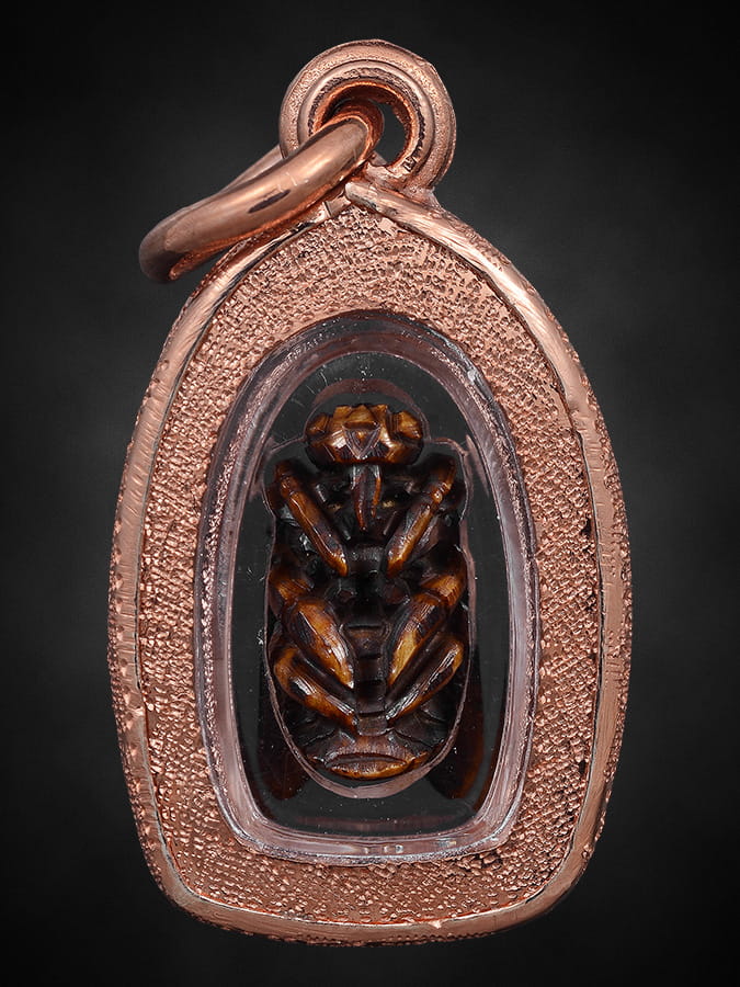 แมลงภู่คำไทยใหญ่ตัวจิ๋ว