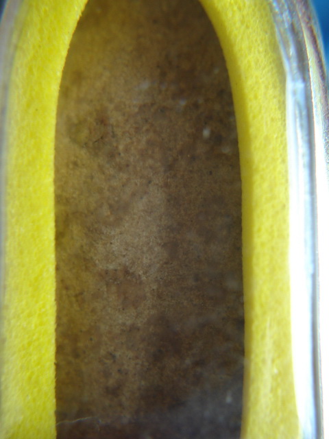 พระรอดวัดพระสิงห์  2496