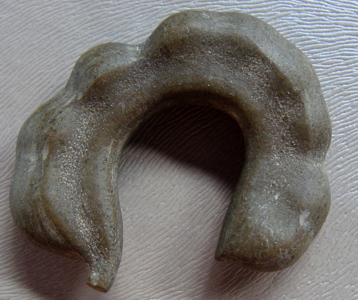 ฝักมะขามเป็นหิน