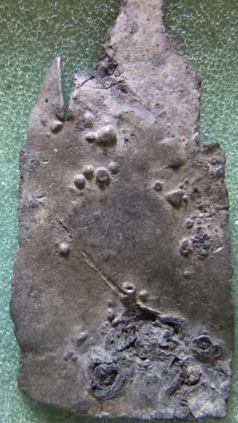 วัดราชฯอีกองค์