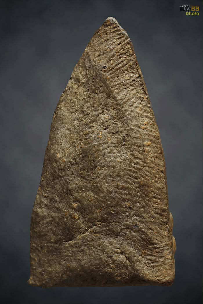 ครูบาเจ้า อัฐิหลังย่น รุ่นแรก แชมป์ ลพ.