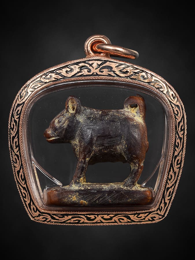 หมูโตนไทใหญ่ 