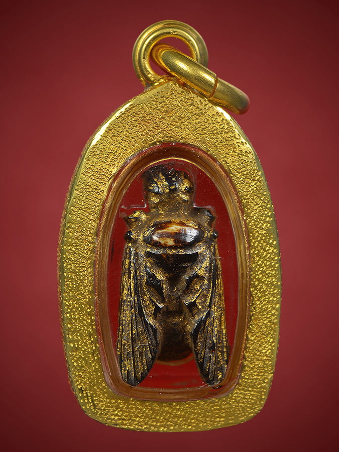 แมลงภู่คำงาแกะทรงคุณค่าไทใหญ่ ตัวจิ๋ว