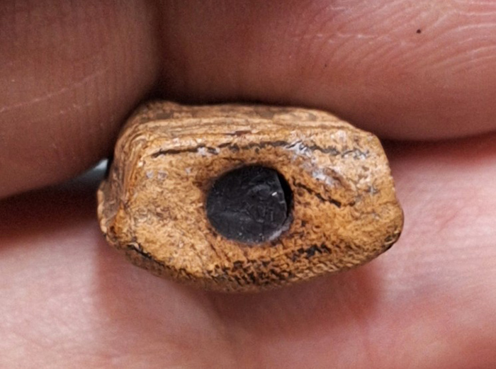 หลังย่น ครูบา พิมพ์มารวิชัย ก้นอุด