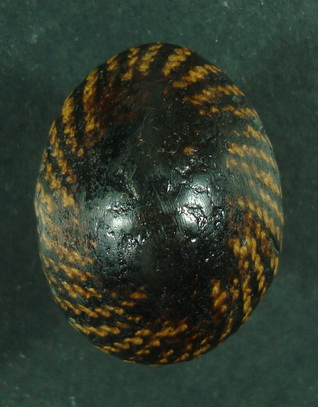 เบี้ยแก้ลูกนี้พ่อเคยแขวนเอวมาก่อน 3000บาทค่ะ