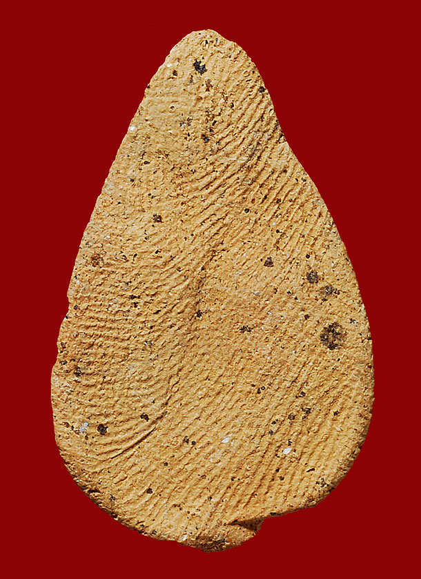 พระกรุวัดลิงขบ