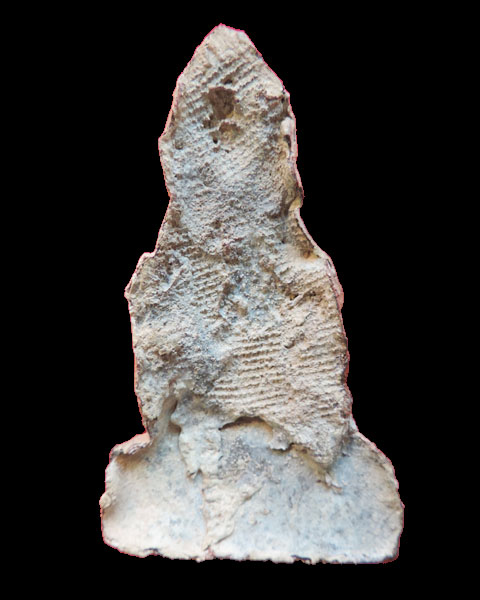 ๑๑๑ สวัสดีครับ...สมาชิกมาใหม่  ฝากเนื้อฝากตัวด้วยครับ ๑๑๑