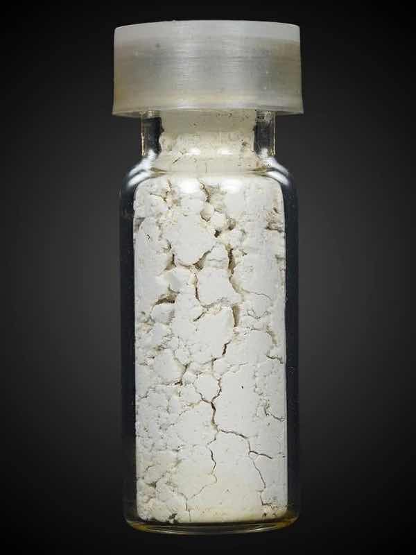 ว่านช้างผสมโขลง อาจารย์ชุม ไชยคีรี