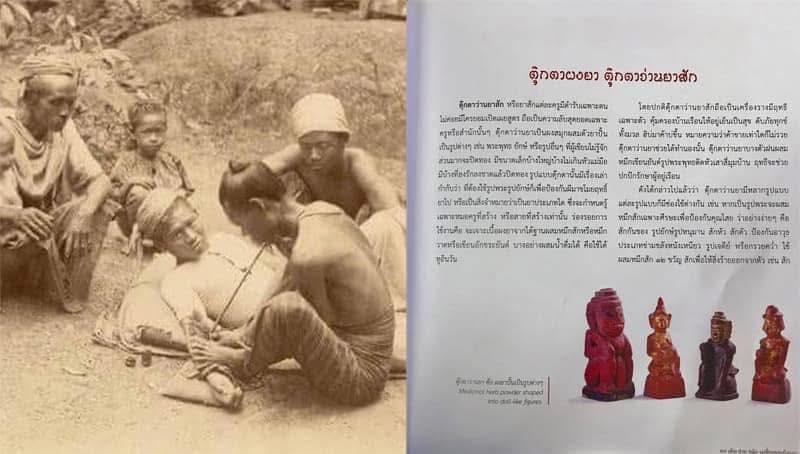 มหาว่านยาพม่า { รูปเทวดา ยาเทวดา } สายยาแดง