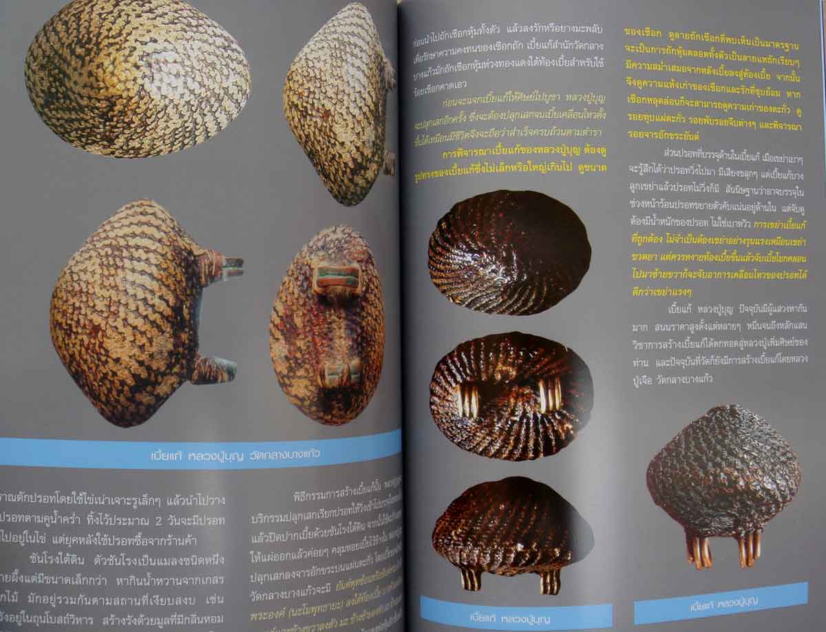 หนังสือไทยพระ หลวงปู่บุญ หลวงปู่เพิ่ม วัดกลางบางแก้ว 