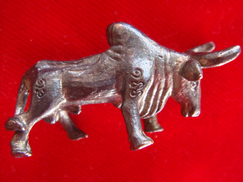 วัวธนูรุ่นแรกครูบาดวงดีวัดบ้านฟ่อน