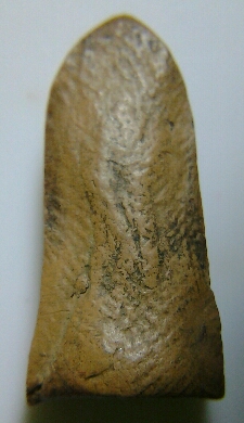 พระรอดพิมพ์เล็กปิด700