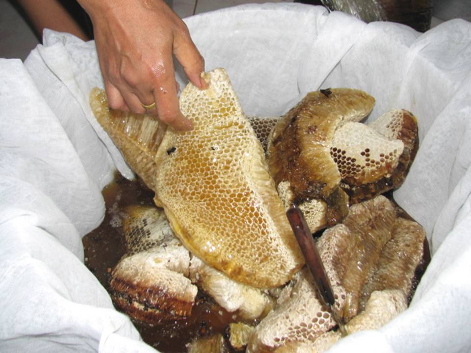 น้ำผึ้ง..แท้ เกสรบัว (( อ้าวเฮ้ย...ของถูก ก็น้ำตาลต้ม..ซิ )))