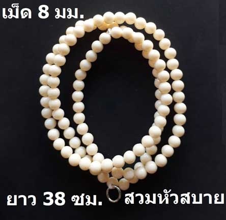 ประคำ หลวงตาม้า วัดถ้ำเมืองนะ