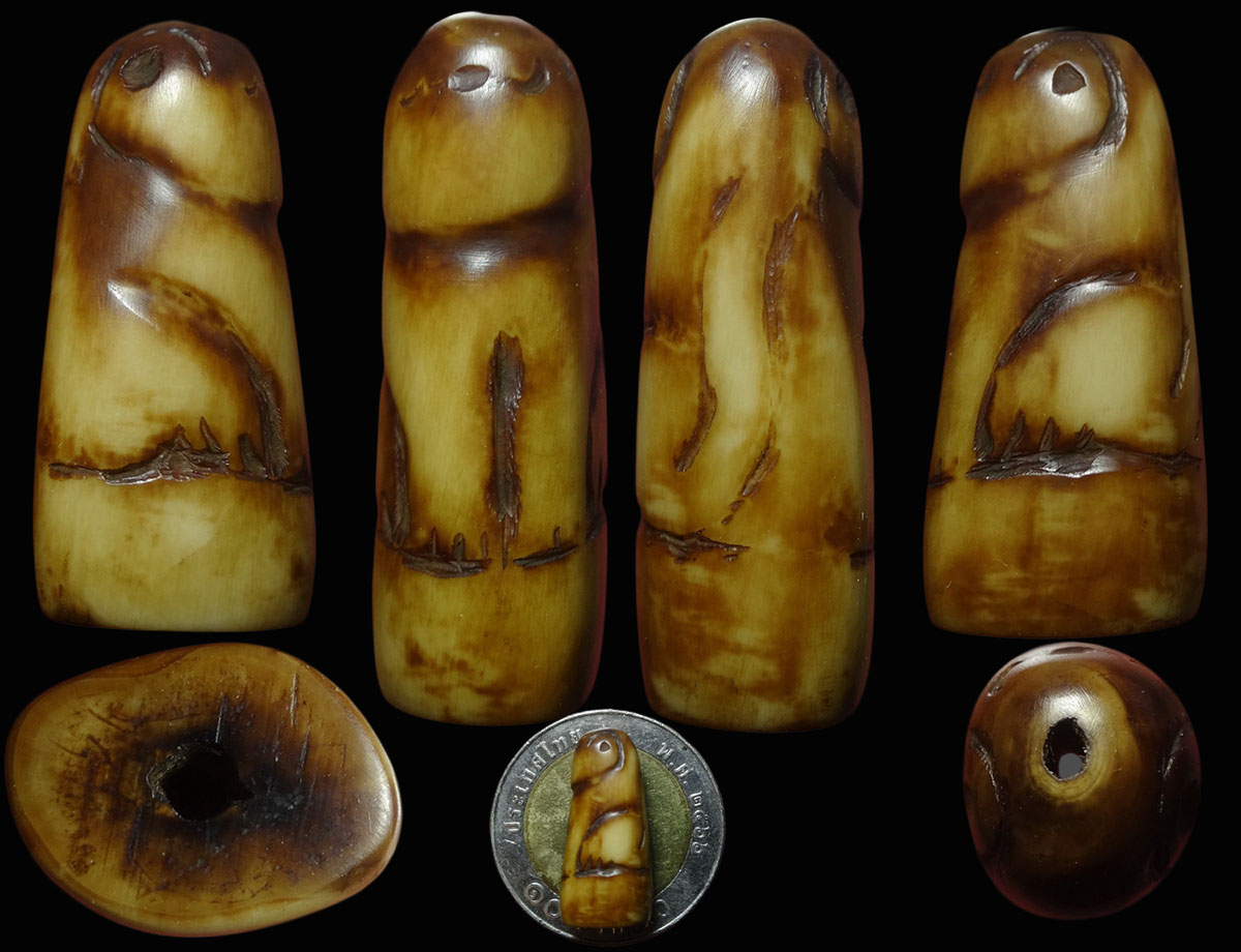 เสือ เขี้ยวเสือแกะ