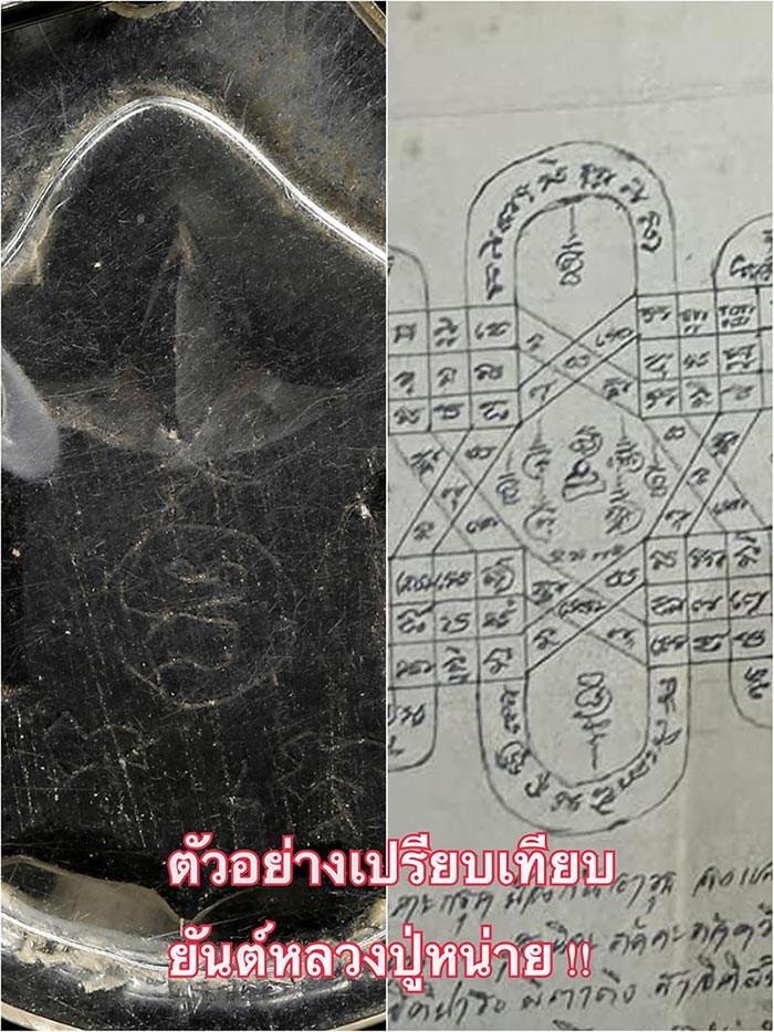 เต่าเรือนงิ้วดำหลวงปู่หน่ายวัดบ้านแจ้ง