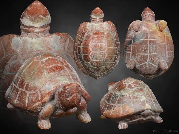 พญาเต่าเรือนหลวงพ่อสนิทวัดลำบัวลอย