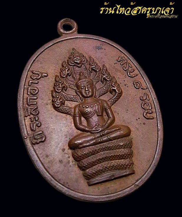 เหรียญปรก8รอบ หลวงปู่ทิม อุใหญ่ แขนจุด 