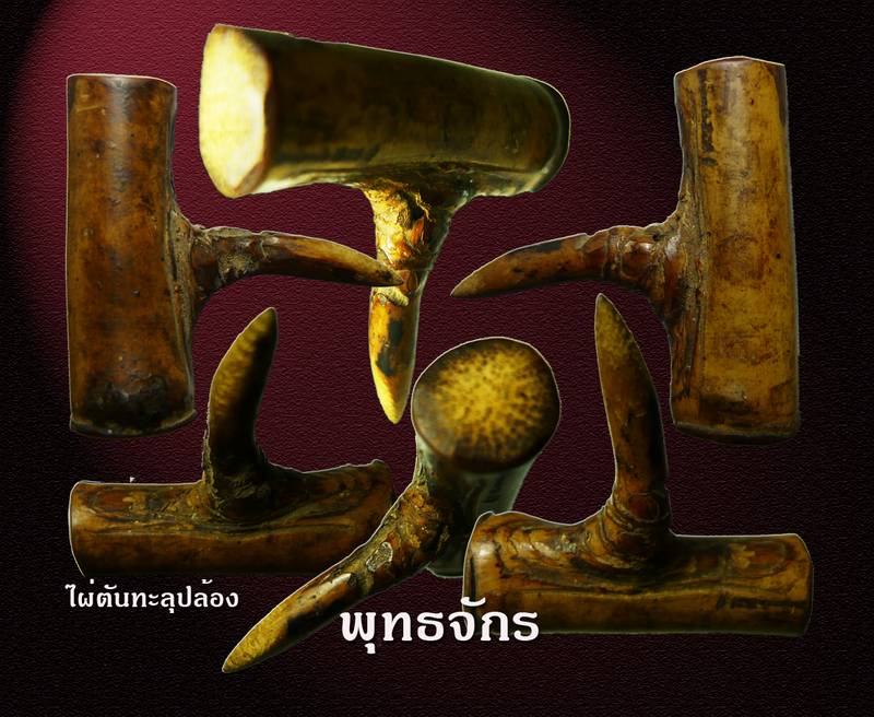 ไผ่ตันทะลุกลางปล้อง