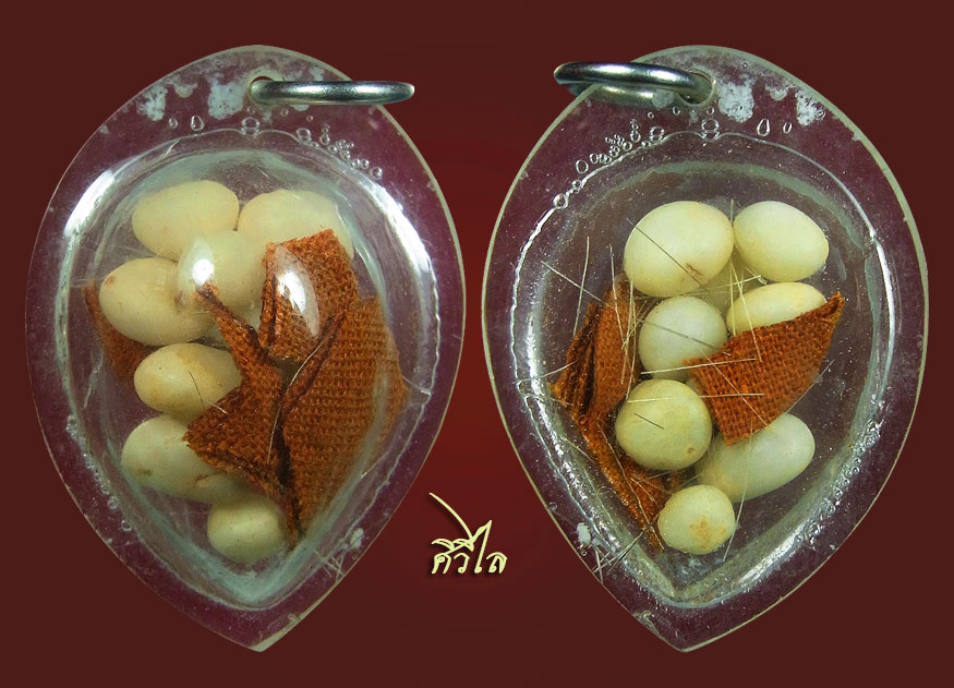 ชุดเกศาครูบาวงค์