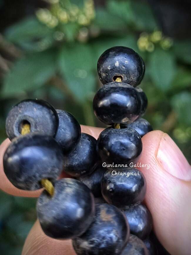 ประคำสมุกรักเก่า (แกนทองแดง)