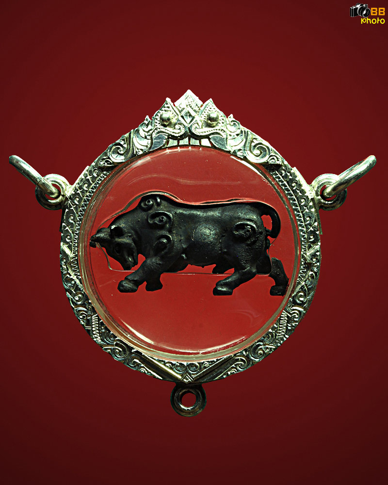 วัวธนูอาจารย์เณรวิเศษสิงห์คำ