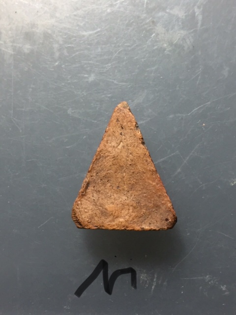 นางดิน(พิษโลก